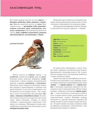 Новый вид птиц для \"Русской Арктики\" попался в фотоловушку - Новости РГО