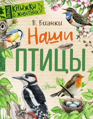 Синицы-озорницы и другие птицы – Библиотечная система | Первоуральск