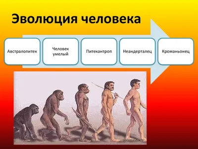 Разработка урока \"Онтогенез человека. Эмбриональное развитие человека\" (10  класс, повышенный уровень)