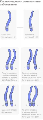 Орфанные редкие заболевания