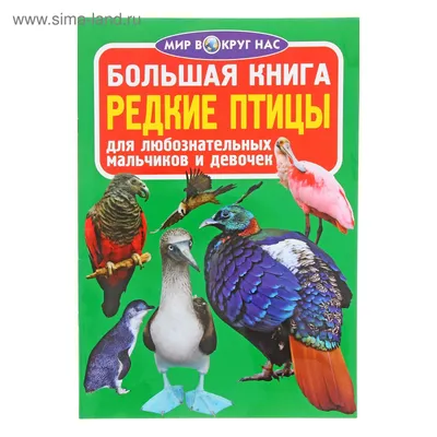 В краю непуганых птиц: мир снежной птицы 2016-07-08. Птицы Сибири.