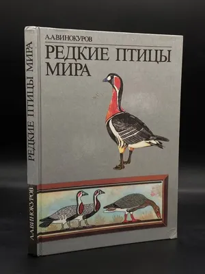 Большая книга «Редкие птицы» (1344282) - Купить по цене от 85.23 руб. |  Интернет магазин SIMA-LAND.RU