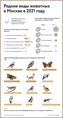 Виды рыб картинки - 62 фото