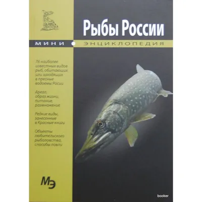 Редкие виды рыб Саратовской области | tursar.ru | Дзен