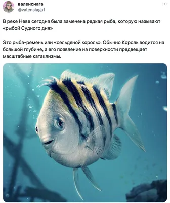 рыба — Викисловарь