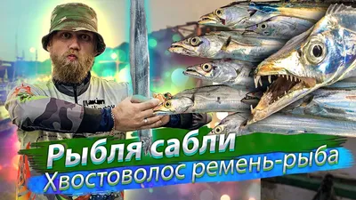 Ремень-рыба или сельдяной король (лат. Oarfish) – Интересные животные