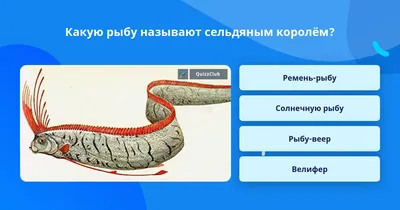 Сельдяной король » uCrazy.ru - Источник Хорошего Настроения