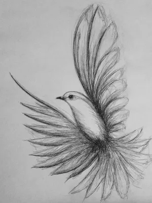 Как нарисовать журавля карандашом поэтапно | Рисунок птиц, Рисунок  животных, Эскиз птицы