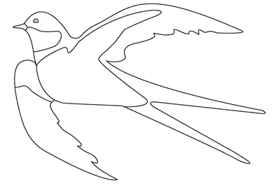 Как нарисовать птицу поэтапно карандашом (63 фото) - легкие мастер-классы  для начинающих