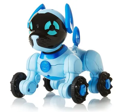 Робот-собака: идеальный компаньон в будущем