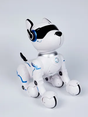 Робот-собака: великолепное изображение в формате jpg