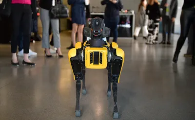 Робот-собака: скачать изображение в формате jpg для обоев