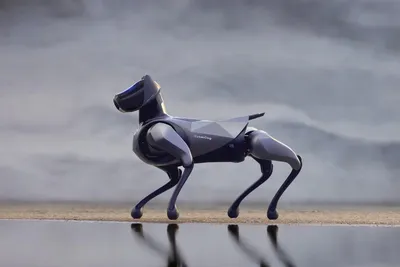 Фото робота собаки в формате png для создания обоев