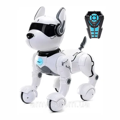 Робот-собака: впечатляющее фото в формате webp