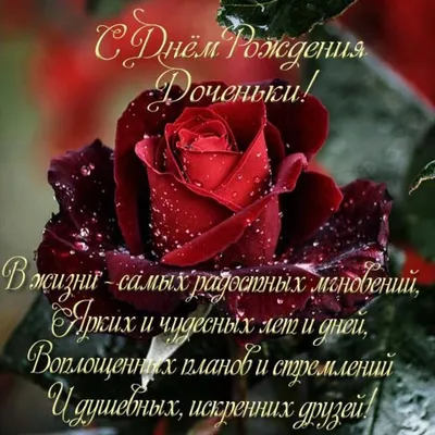 Поздравляю родителей замечательной доченьки 🙏🏻🌹🌹🌹#сднемрождениядо... |  TikTok