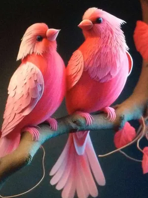 Розовые птицы фламинго стоковое изображение. изображение насчитывающей шея  - 85456599