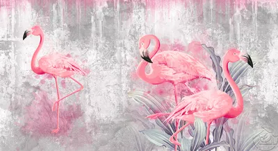 две маленькие розовые птицы стоят вместе на закате, неразлучники, розовый  мех, облака сладкой ваты фон картинки и Фото для бесплатной загрузки