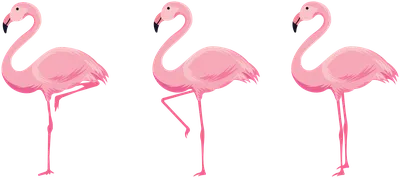 Скачать 800x1200 розовый фламинго, фламинго, птица, клюв, перья, розовый  обои, картинки iphone 4s/4 for parallax