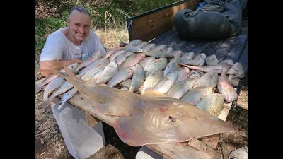 рыбак» РЫБА и Морепродукты - Лангустины (Аргентина).💥💣 С головой ( в  панцире). Очень вкусные! 😋 Масса: 2 кг. 🔴 Цена: 2800 сом. Аргентинские  креветки или Лангустины, популярный деликатес. Мясо аргентинской креветки  плотное,