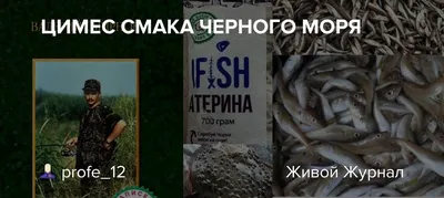 Греческая рыба: путеводитель по греческим морепродуктам! | Гречанка  Афинянка | Дзен