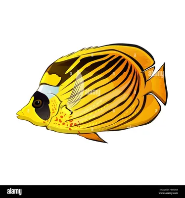 Рыба-бабочка, (Pantodon buchholzi) – …» — создано в Шедевруме