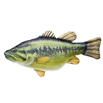 Басс-рыба в руке рыбака стоковое изображение. изображение насчитывающей  ангстрома - 152839403