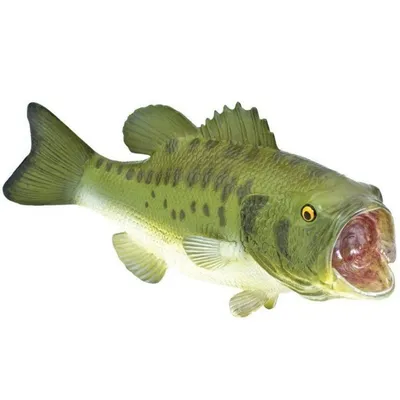 профиль бас-рыбы стоковое фото. изображение насчитывающей ангстрома -  266723006