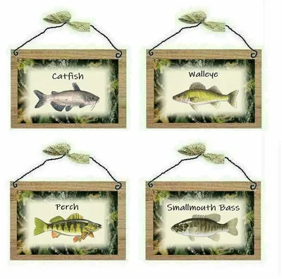 Интерактивная, рыба, BIG MOUTH BASS, Поющая рыба, Лучший подарок рыбаку  (ID#2036518585), цена: 2400 ₴, купить на Prom.ua