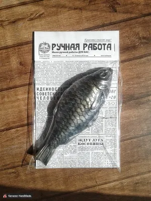 А рыба то где!?. Фотограф Рудченко Ольга