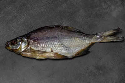 Как выглядит рыба белоглазка
