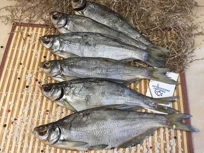 Cушёный лещ - Fishop рыбный магазин - магазин рыбы