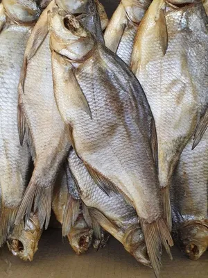 Свежая рыба лещ окунь язь: 400 тг. - Продукты питания / напитки Нура на Olx