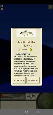 Рыба синец : повадки, места обитания и способы ловли
