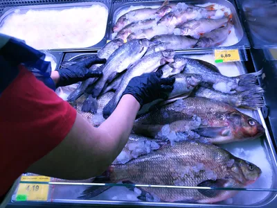 Лещ ПСГ Холодного копчения,вес с бесплатной доставкой на дом из «ВкусВилл»  | Брянск