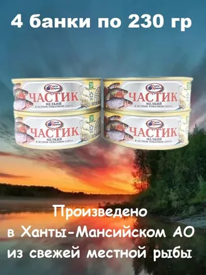 Частик мелкий в остром томатном соусе, Санта Мария, 4 X 230 г - купить с  доставкой по выгодным ценам в интернет-магазине OZON (1183240676)