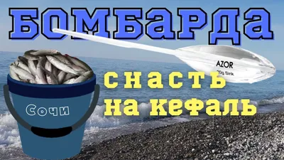 Шаланды полные кефали. История из жизни о ловле кефали