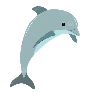 Голубые рыбы Cichlid дельфина Малави также известные как Moorii, милый и  смешной тропический любимец который выглядит как дельфин Стоковое  Изображение - изображение насчитывающей жизнь, смотрит: 132875405