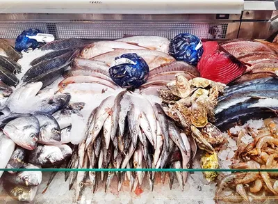 Большая рыба в Смоленске | Первый Смоленский видеопортал