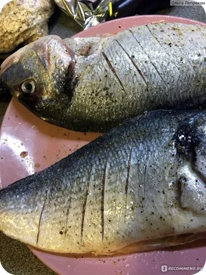 Виды Рыб (в Израиле) – какая полезная и для какого блюда