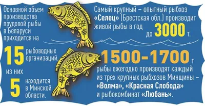 Денис Прохоров: «Стажировки - это действительно важный инструмент для  расширения кругозора» | chef.ru