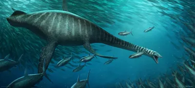 Морские динозавры\": мозазавры, плезиозавры, ихтиозавры и другие морские  рептилии