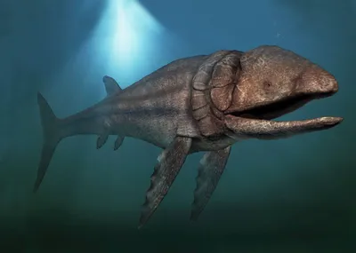 Лидсихтис - гигантская рыба юрского периода | Вымершие животные вики | Дзен