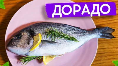 Свежемороженая Дорадо в Иркутске