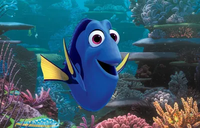 В поисках Немо рыбка Дори плюшевая игрушка Finding Nemo - купить с  доставкой по выгодным ценам в интернет-магазине OZON (1299552201)