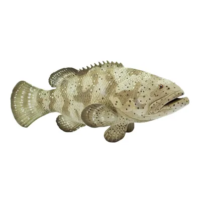 Кто такая - тигровая рыба Голиаф, пожирающая крокодилов В одной из пер� |  Рыбы и обитатели морей,рек. | Постила