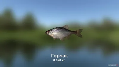 Стройный горчак 3D Модель $30 - .3ds .gltf .blend - Free3D