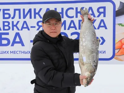 Пришел на хваленый крестьянский рынок в Якутске. Рыба мне оказалась не по  карману