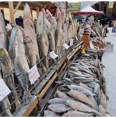 На ярмарке «Рыба Якутии-2019» продали более 10 тонн рыбы — ЯСИА