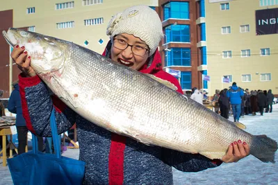 15 тонн рыбы продадут на ярмарке «Рыба Якутии-2018» — ЯСИА