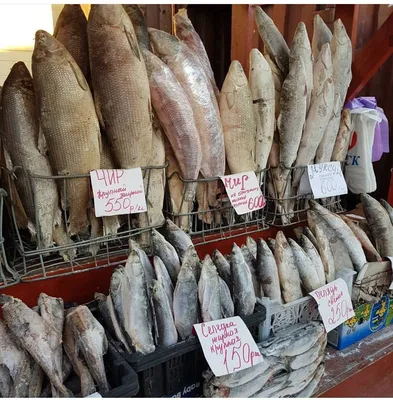 Купить рыба из якутии пос. оптом и в розницу по низкой цене